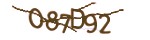 Mã bảo mật