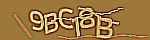 Mã bảo mật