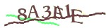 Mã bảo mật