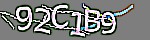 Mã bảo mật