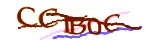 Mã bảo mật
